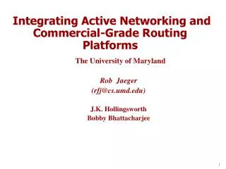 Integrating Active Networking and Commercial-Grade Routing Platforms
