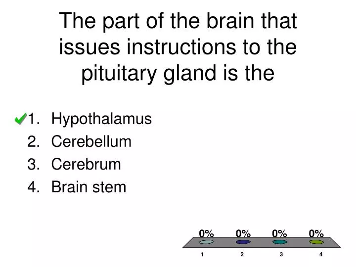 the part of the brain that issues instructions to the pituitary gland is the
