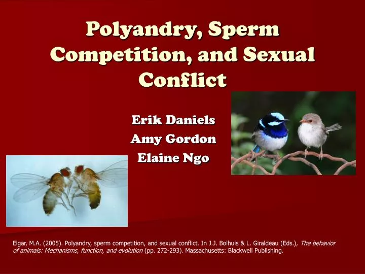 polyandry sperm competition and sexual conflict
