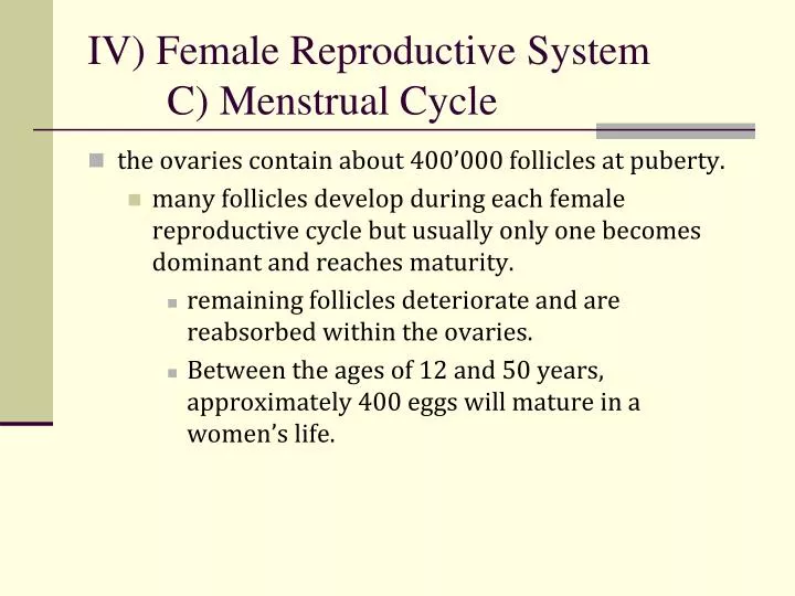 iv female reproductive system c menstrual cycle