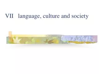 VII language, culture and society