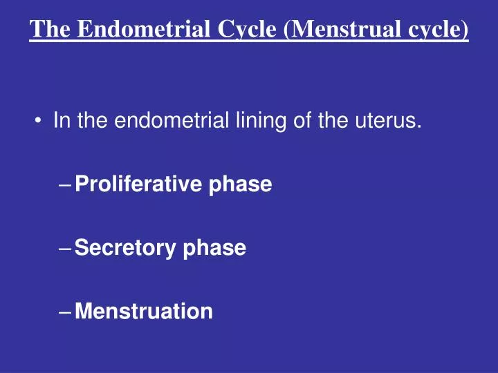 the endometrial cycle menstrual cycle