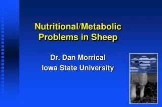 Nutritional/Metabolic Problems in Sheep