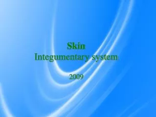 Skin Integumentary system 2009