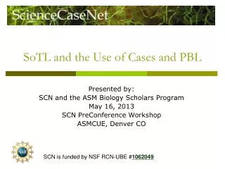 SoTL and the Use of Cases and PBL