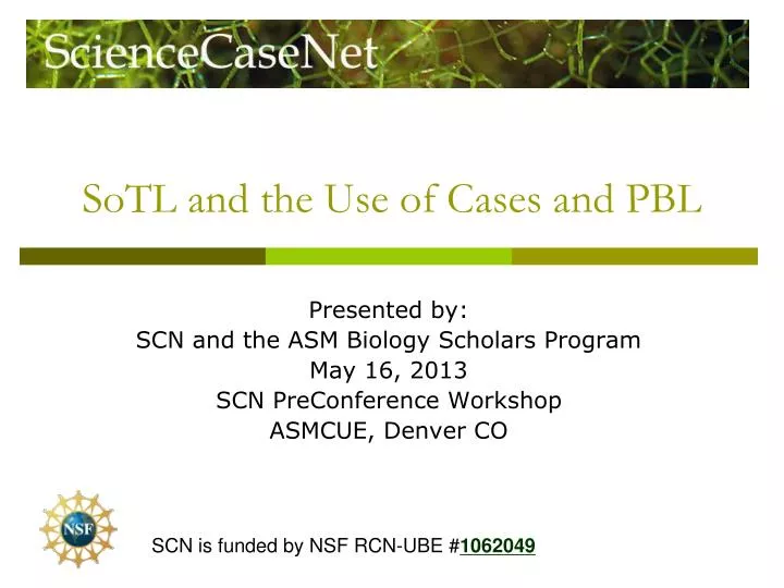 sotl and the use of cases and pbl