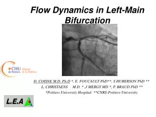 Flow Dynamics in Left-Main Bifurcation