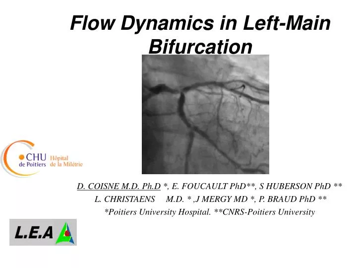 flow dynamics in left main bifurcation