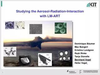 Studying the Aerosol-Radiation-Interaction with LM-ART