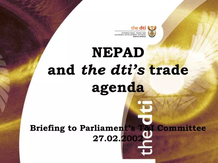 nepad and the dti s trade agenda briefing to parliament s t i committee 27 02 2002