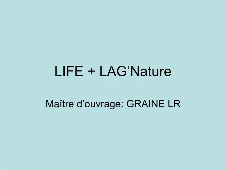 life lag nature