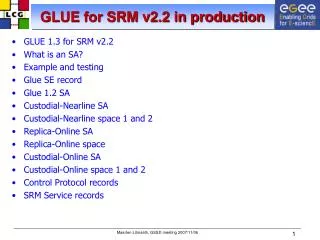 GLUE for SRM v2.2 in production