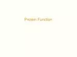 Protein Function - slide 1