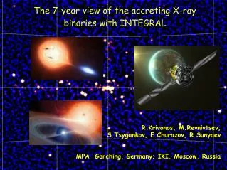 The 7-year view of the accreting X-ray binaries with INTEGRAL