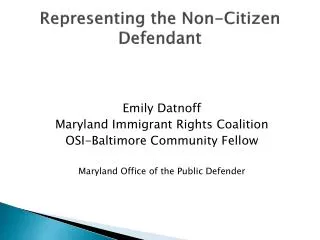 Representing the Non-Citizen Defendant