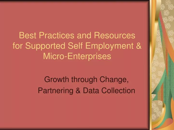 best practices and resources for supported self employment micro enterprises