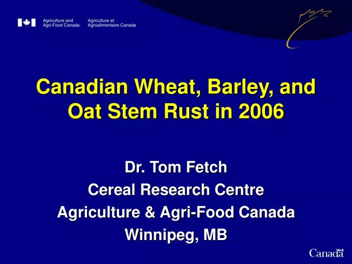 canadian wheat barley and oat stem rust in 2006