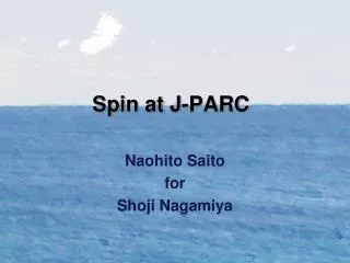 Spin at J-PARC