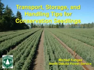 Transport, Storage, and Handling Tips for Conservation Seedlings