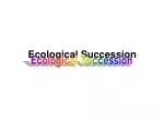Ecological Succession - slide 1