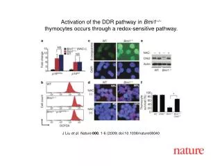 J Liu et al. Nature 000 , 1-6 (2009) doi:10.1038/nature08040