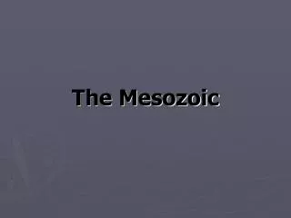 The Mesozoic