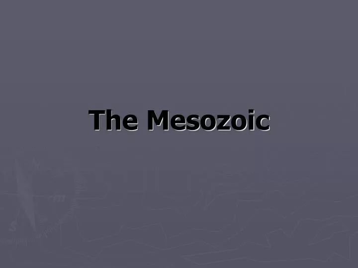 the mesozoic