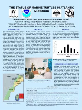 THE STATUS OF MARINE TURTLES IN ATLANTIC MOROCCO