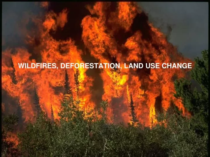 wildfires deforestation land use change