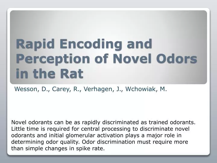 rapid encoding and perception of novel odors in the rat