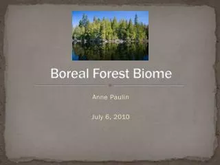 Boreal Forest Biome
