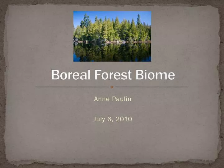 boreal forest biome