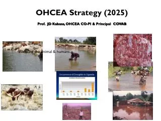 OHCEA Strategy (2025) Prof. JD Kabasa , OHCEA CO-PI &amp; Principal COVAB