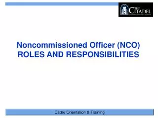 Noncommissioned Officer (NCO) ROLES AND RESPONSIBILITIES