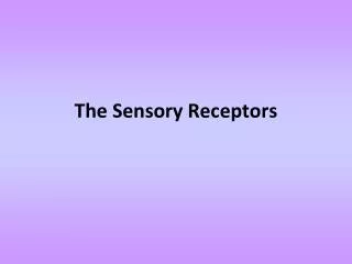 The Sensory Receptors