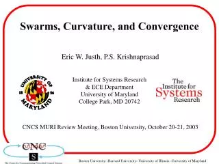 Swarms, Curvature, and Convergence
