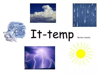 it temp marlene vassallo