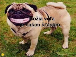 bo ia v a je na im ast m