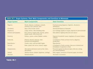 Organ systems in mammals