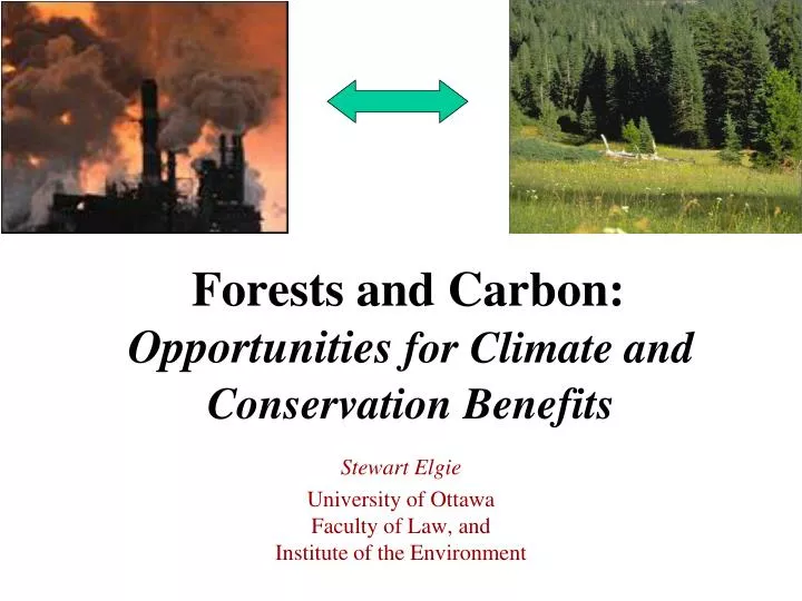 forests and carbon opportunities for climate and conservation benefits