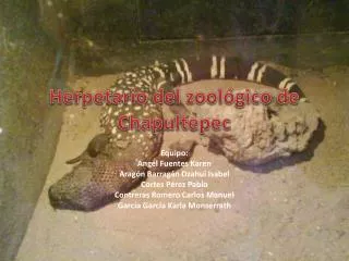 herpetario del zool gico de chapultepec