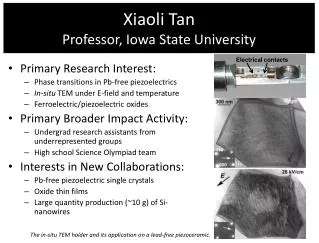 Xiaoli Tan Professor, Iowa State University