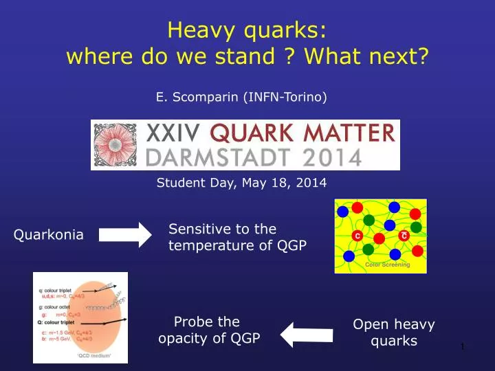 heavy quarks where do we stand what next