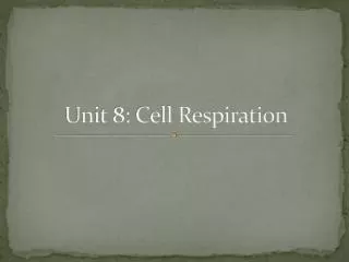 Unit 8: Cell Respiration