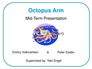 Octopus Arm