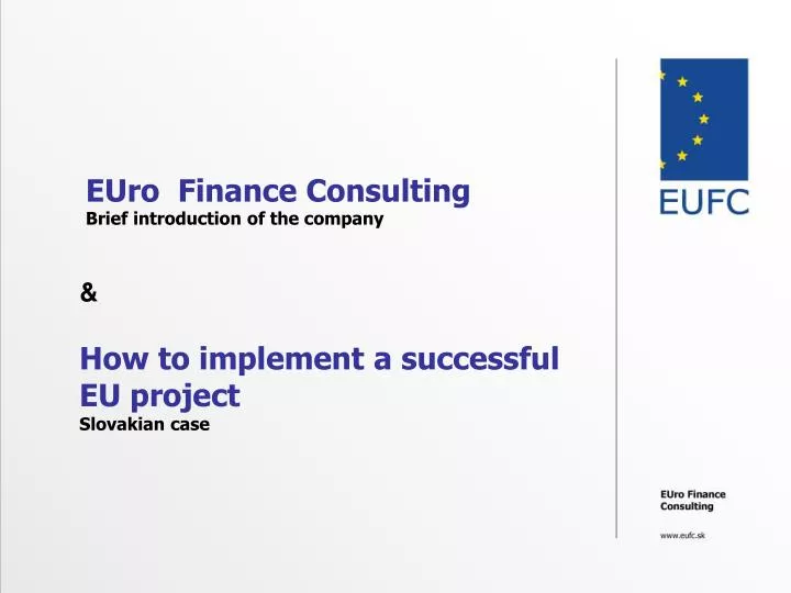 euro finance consulting brief introduction of the company