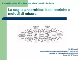 la soglia anaerobica basi teoriche e metodi di misura