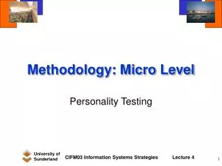 Methodology: Micro Level