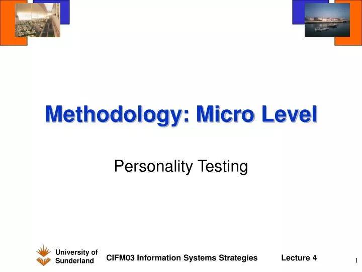 methodology micro level