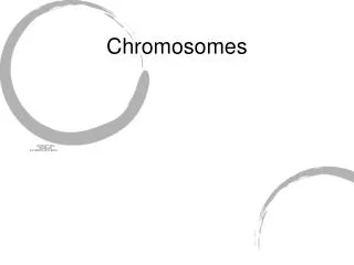 Chromosomes